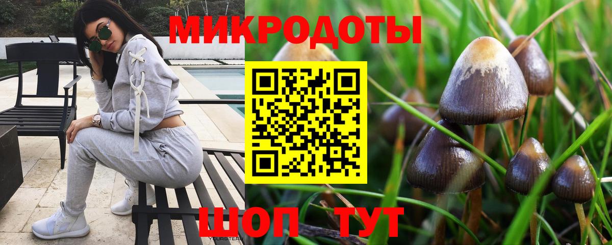 Людиново  Псилоцибиновые грибы мицелий  Псилоцибиновые грибы мухоморы  Вход с VPN 